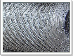 Galvanized Chicken Wire netting